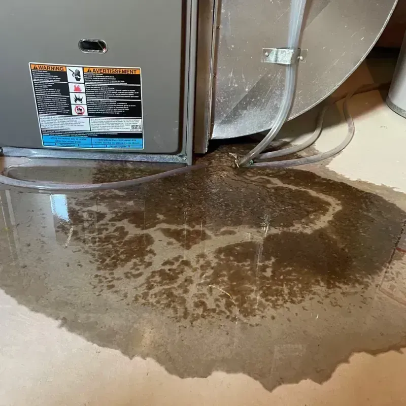 Appliance Leak Cleanup in Summersville, WV